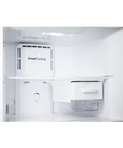 Freestanding refrigerator NTFD 53 BE
