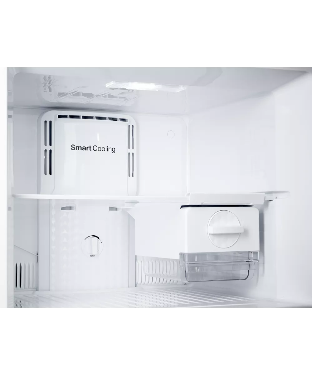 Freestanding refrigerator NTFD 53 GR