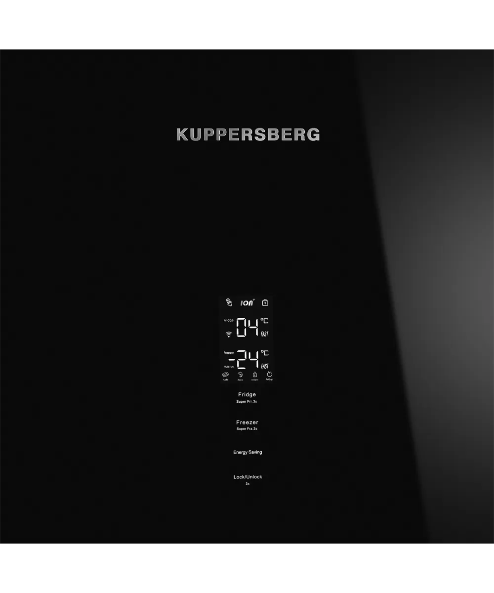 Холодильник отдельностоящий RFCN 2013 BG - фото 6